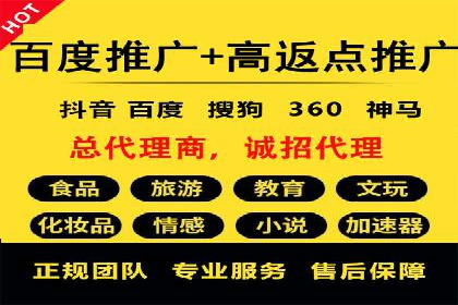 实战解析：SEM网络推广成功案例分享